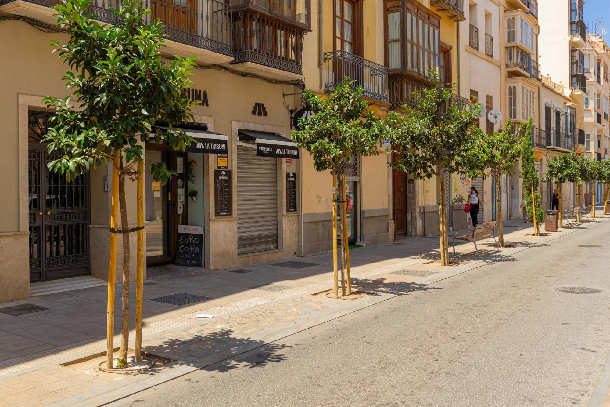 Apartamento C103 - Sunny Terrace, Old Town Views Málaga Exterior foto